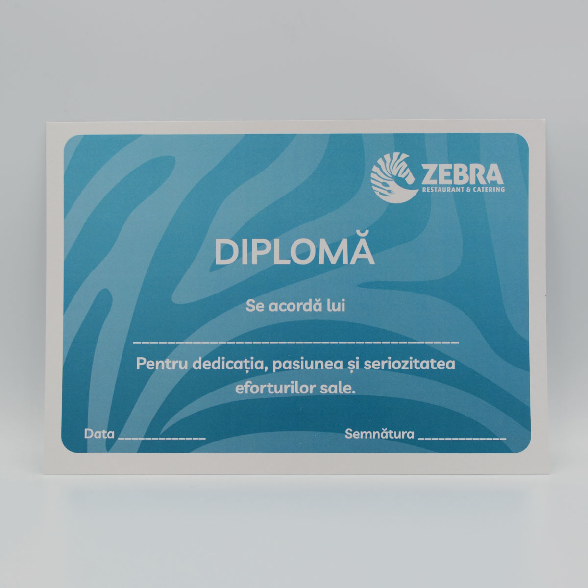 tutoriale video pentru opțiuni binare
